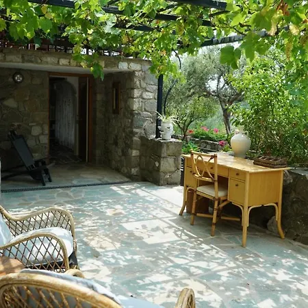 Estate Villa